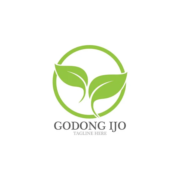 Logos of green leaf ecology