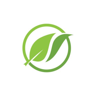 Yeşil yapraklı ekoloji doğa element vektörü