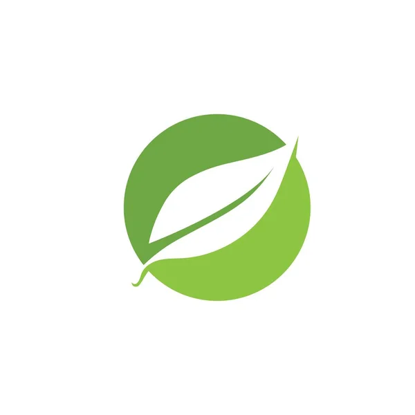Groene blad ecologie natuur element vector — Stockvector