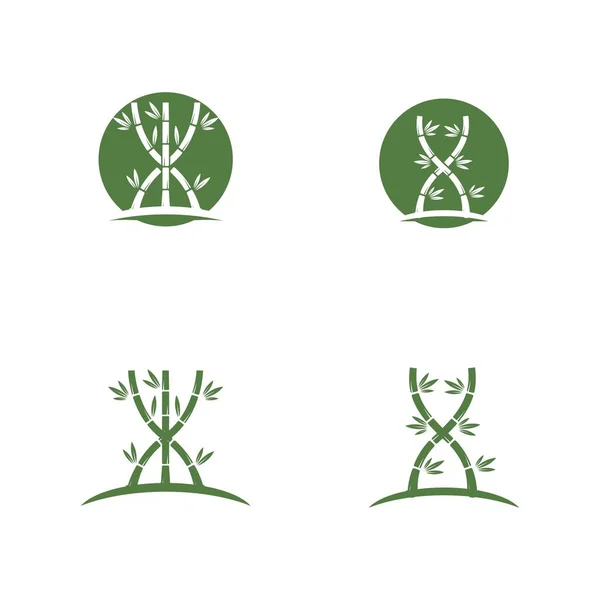 Bambus Logo Vorlage Vektorsymbol — Stockvektor