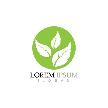 Yeşil ağaç yaprağı ekoloji doğa elementi vektörü logoları