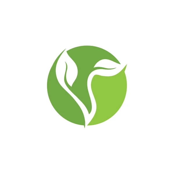 Logos de ecologia de folha de árvore verde — Vetor de Stock