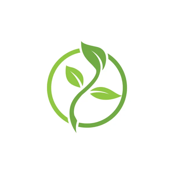Loga ekologie zelených listů stromů — Stockový vektor