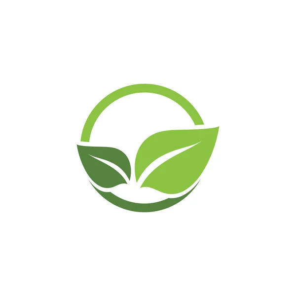 Verde hoja ecología naturaleza elemento vector icono — Archivo Imágenes Vectoriales