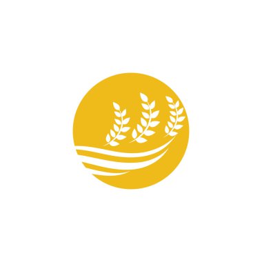 Tarım buğday vektör