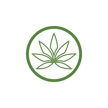 Canabis yaprak yeşil vektör illüstrasyon simgesi tasarımı 
