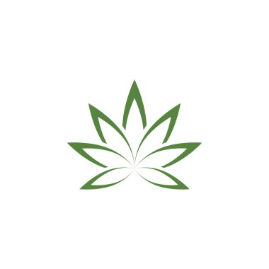 Canabis yaprak yeşil vektör illüstrasyon simgesi tasarımı 