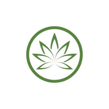 Canabis yaprak yeşil vektör illüstrasyon simgesi tasarımı 