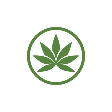Canabis yaprak yeşil vektör illüstrasyon simgesi tasarımı 