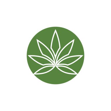 Canabis yaprak yeşil vektör illüstrasyon simgesi tasarımı 
