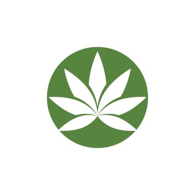 Canabis yaprak yeşil vektör illüstrasyon simgesi tasarımı 