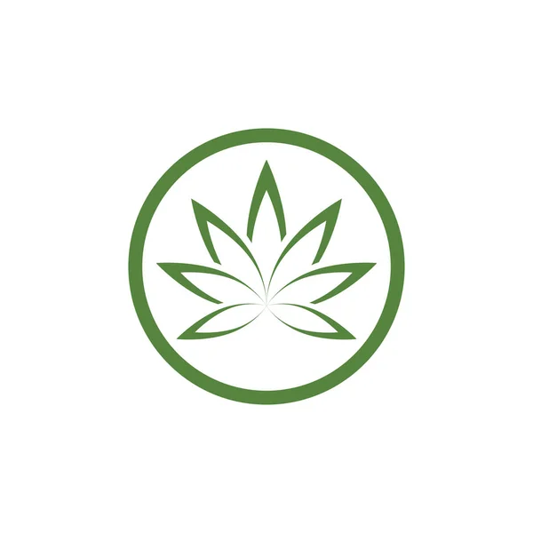 Canabis feuille vert vecteur illustration icône design — Image vectorielle
