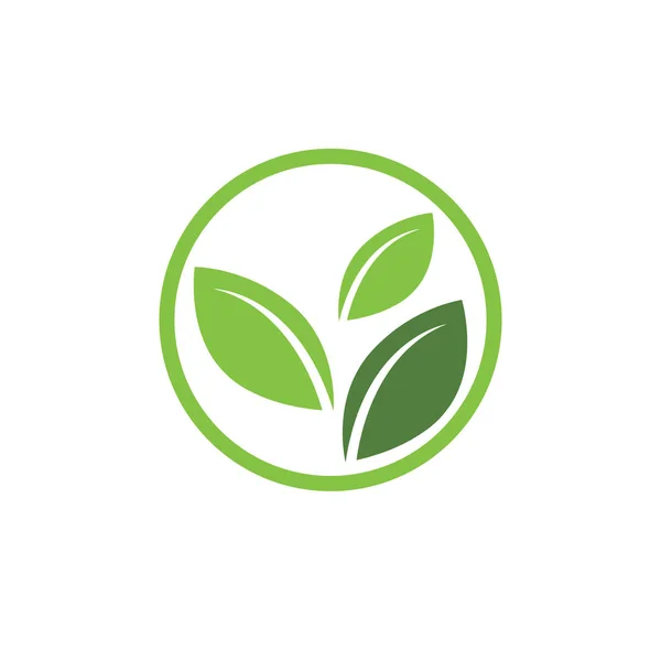 Yeşil ağaç yaprağı ekolojisi logoları — Stok Vektör