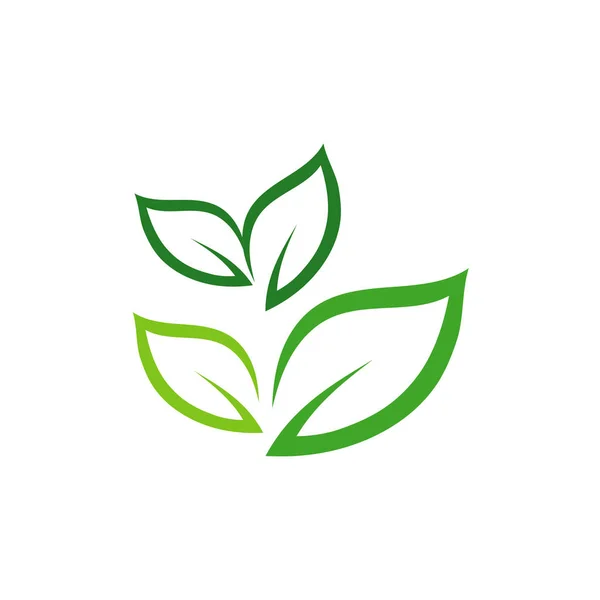Folha verde ecologia elemento de natureza vetor ícone — Vetor de Stock