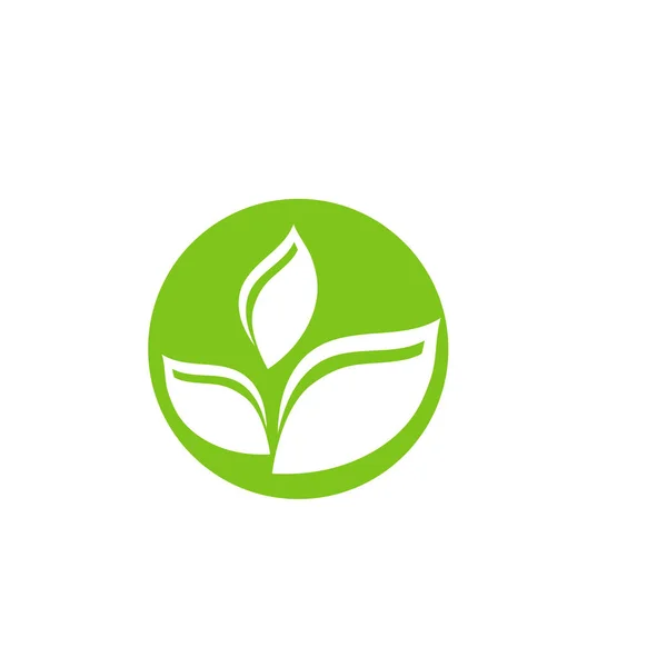 Grön blad ekologi natur element vektor ikon — Stock vektor