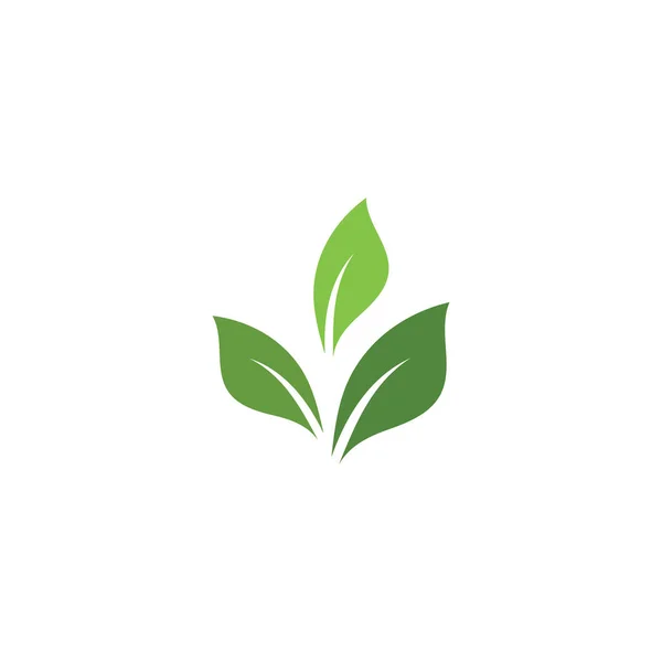Vert feuille écologie élément nature vecteur — Image vectorielle