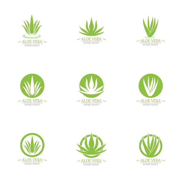 Aloe vera logotipo e símbolo modelo ícone — Vetor de Stock