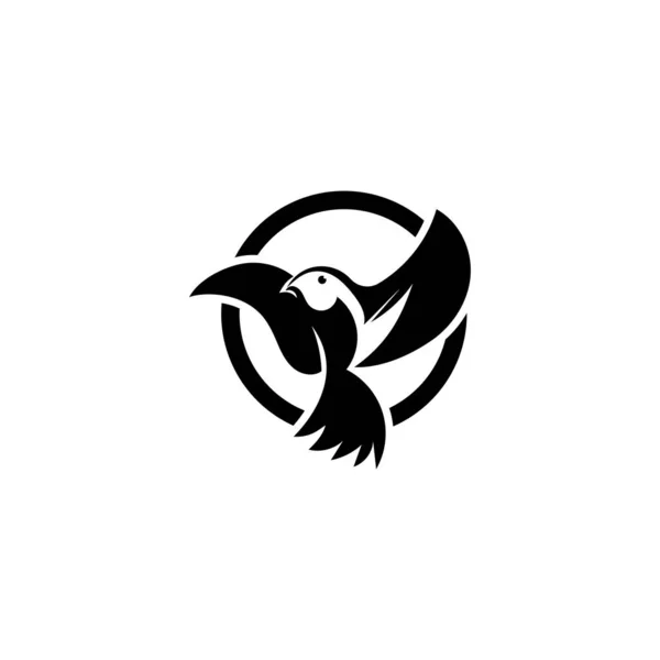 Ilustração do vetor do molde do logotipo da mosca do pássaro —  Vetores de Stock