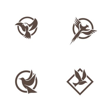 Kuş sinek Logo Şablon vektör illüstrasyon