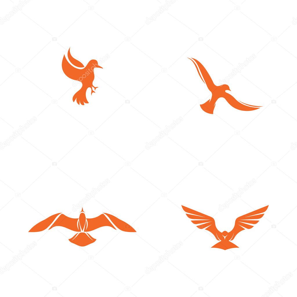 Bird fly  Logo Template vector illustration design