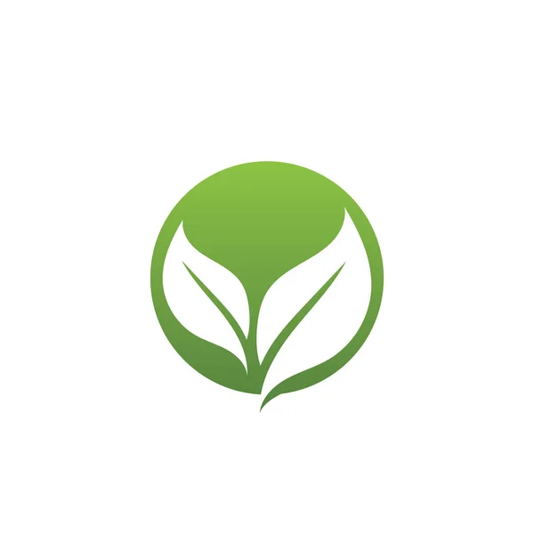 Logos de ecologia de folha de árvore verde — Vetor de Stock