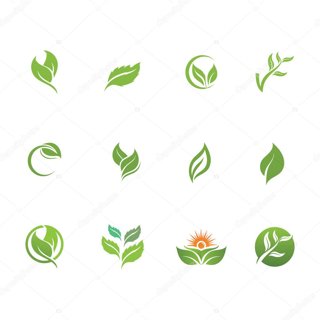 Logos of green Tree leaf ecology nature element vector