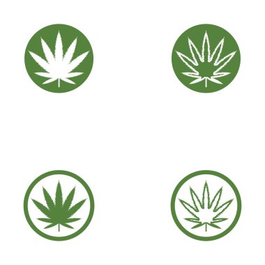 Canabis yaprak vektör illüstrasyon simgesi