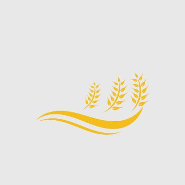 Tarım buğday vektör tasarımı 