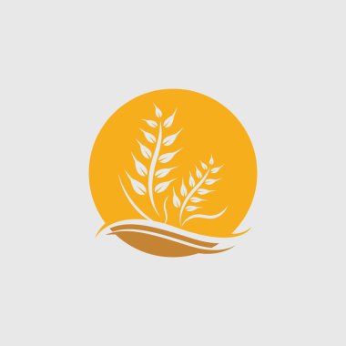 Tarım buğday vektör tasarımı 