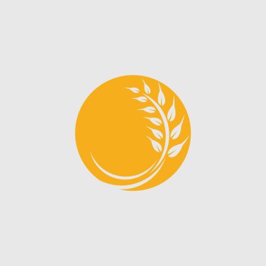 Tarım buğday vektör tasarımı 