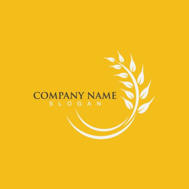 Tarım buğday vektör tasarımı 