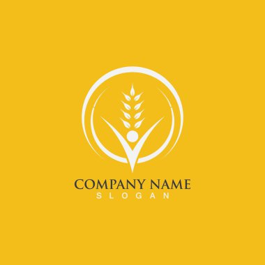 Tarım buğday vektör tasarımı 