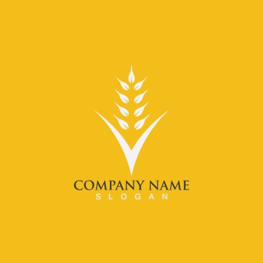 Tarım buğday vektör tasarımı 