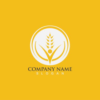 Tarım buğday vektör tasarımı 