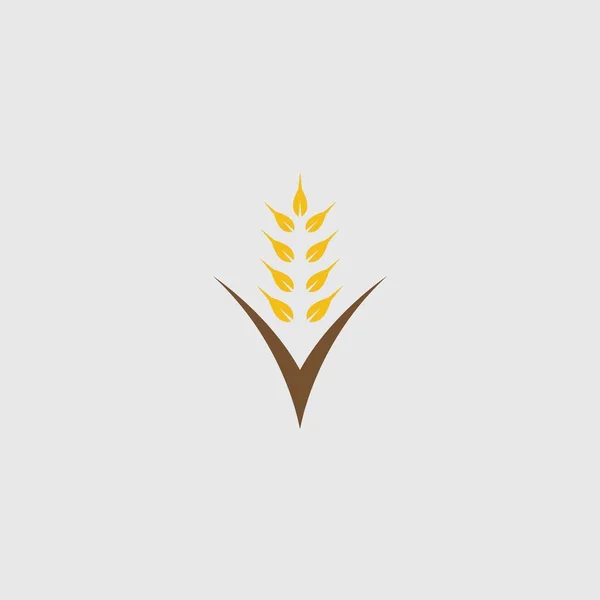 Конструкция Векторной Иконки Сельскохозяйственной Пшеницы — стоковый вектор