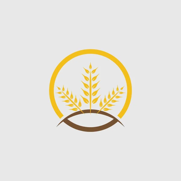 Agricultura Trigo Vector Icono Diseño — Vector de stock