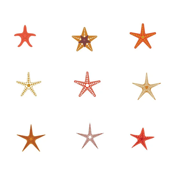 Star Fish Logo Vector Flat Design Template — Stock Vector