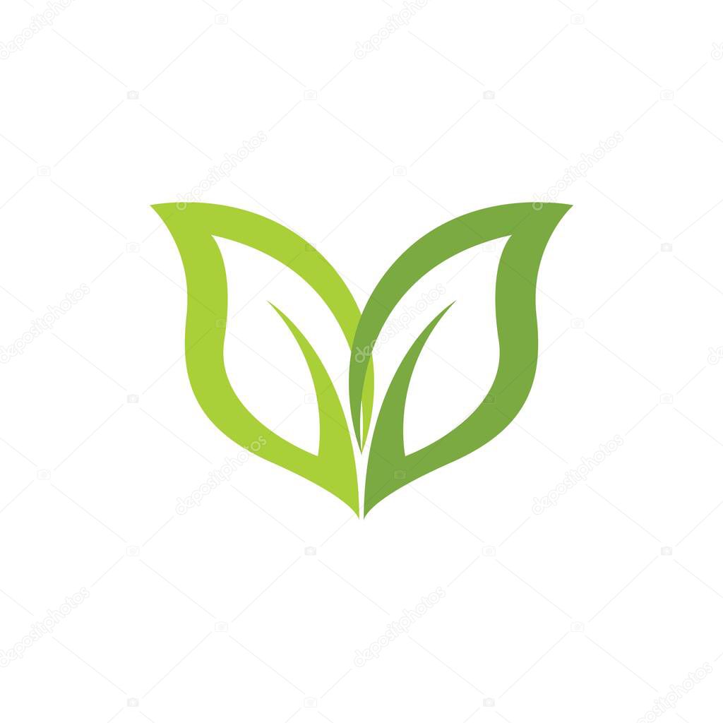 Logos of green Tree leaf ecology nature element vector