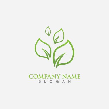 Yaprak logosu ve sembol şablonu vektörü