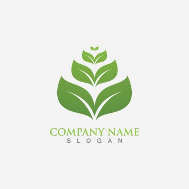 Yaprak logosu ve sembol şablonu vektörü