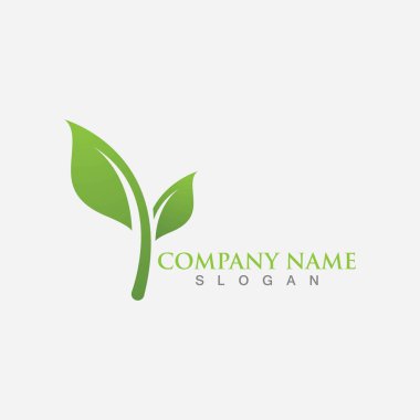 Yaprak logosu ve sembol şablonu vektörü