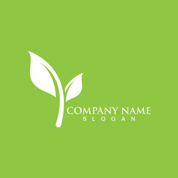 Logos Vert Feuille Arbre Écologie Élément Nature Vecteur — Image vectorielle
