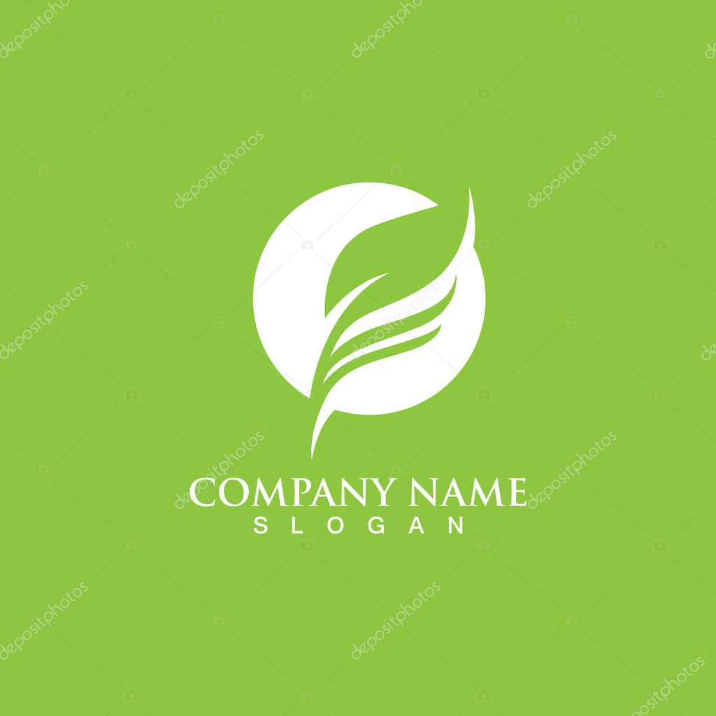 Logos of green Tree leaf ecology nature element vector