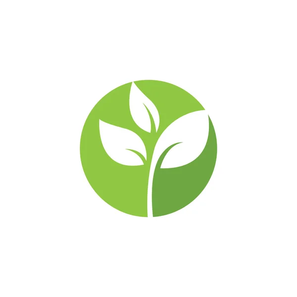 Loga Ekologie Zelených Listů Stromu Vektor Přírodního Prvku — Stockový vektor