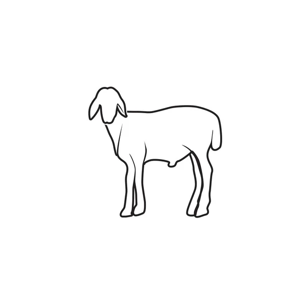 Goat Logo Template Vetor Ícone Ilustração Design — Vetor de Stock