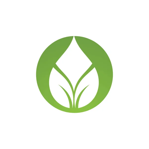 Gota Água Folha Logo Template Imagem Vetorial — Vetor de Stock