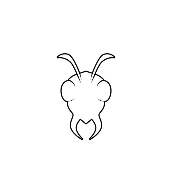 Návrh Vektorových Ilustrací Šablony Ant Logo — Stockový vektor