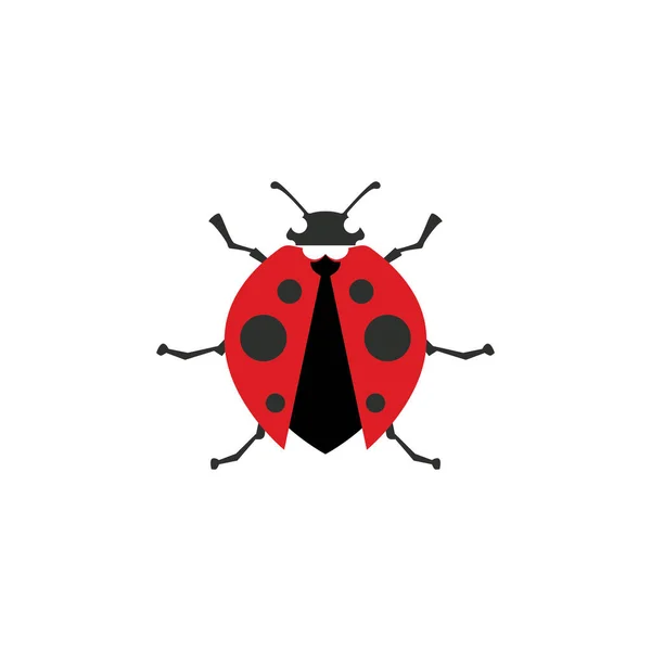Coccinella Animale Vettore Logo Simbolo Modello Icona — Vettoriale Stock