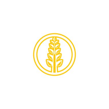 Tarım buğday vektör tasarımı 
