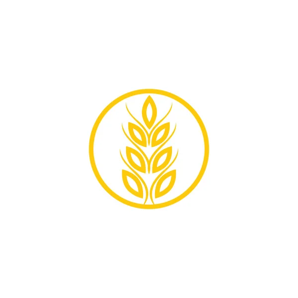 Agriculture Wheat Vector Icon Design — Stock Vector